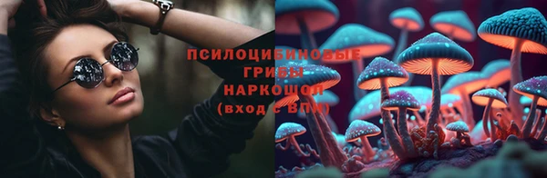 не бодяженный Арсеньев
