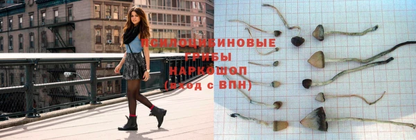не бодяженный Арсеньев